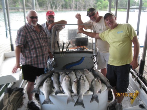 Nice Striped Bass